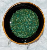 Fused Glass Bowl - Fishbowl