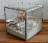 Beveled Glass Cube with Shells